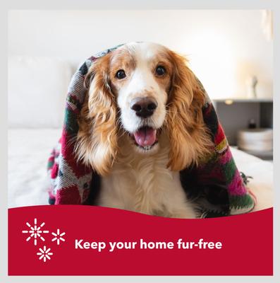 Show full view: Safari Single Row Rotating Pins Undercoat Rake Dog Grooming Tool slide 2 of 4