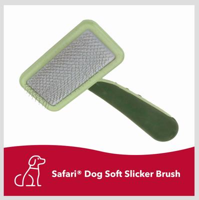 Show full view: Safari Soft Slicker Brush for Dogs, Large slide 3 of 9