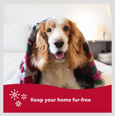 Show full view: Safari Soft Slicker Brush for Dogs, Large slide 6 of 9