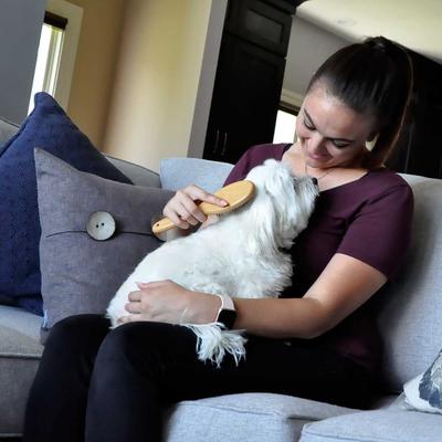 Show full view: Safari Wire Pin Bamboo Handle Dog Brush, Large slide 4 of 5