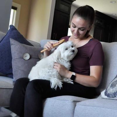 Show full view: Safari Wire Pin Bamboo Handle Dog Brush, Small slide 3 of 5