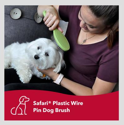 Show full view: Safari Wire Pin Brush for Dogs, Large slide 3 of 10