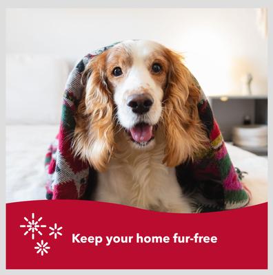 Show full view: Safari Wire Pin Brush for Dogs, Large slide 7 of 10