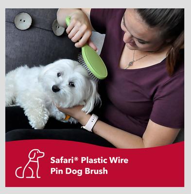Show full view: Safari Wire Pin Brush for Dogs, Small slide 4 of 11
