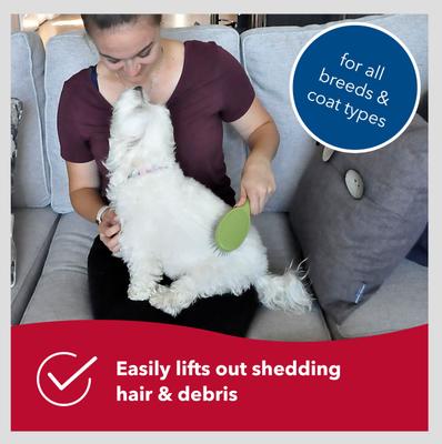 Show full view: Safari Wire Pin Brush for Dogs, Small slide 5 of 11