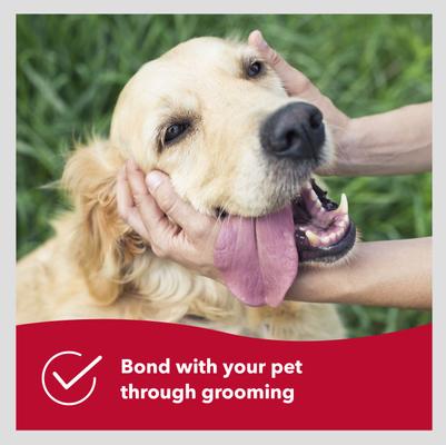 Show full view: Safari Wire Pin Brush for Dogs, Small slide 7 of 11