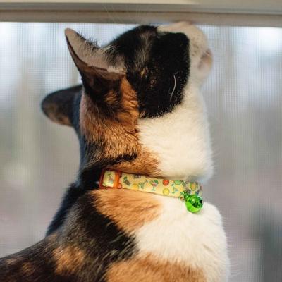 Show full view: Safe Cat Fashion Adjustable Breakaway Cat Collar, 8 to 12-in neck, 3/8-in wide, Happy Hour slide 4 of 5