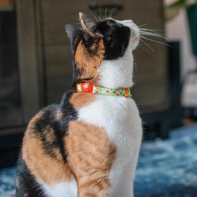 Show full view: Safe Cat Fashion Adjustable Breakaway Cat Collar, 8 to 12-in neck, 3/8-in wide, Happy Hour slide 2 of 5