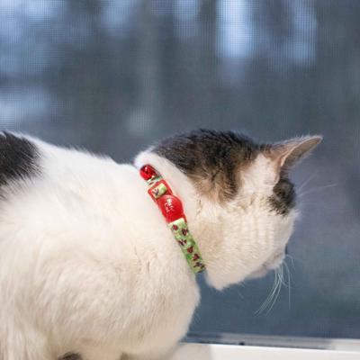 Show full view: Safe Cat Fashion Adjustable Breakaway Cat Collar, 8 to 12-in neck, 3/8-in wide, Ladybugs slide 2 of 4