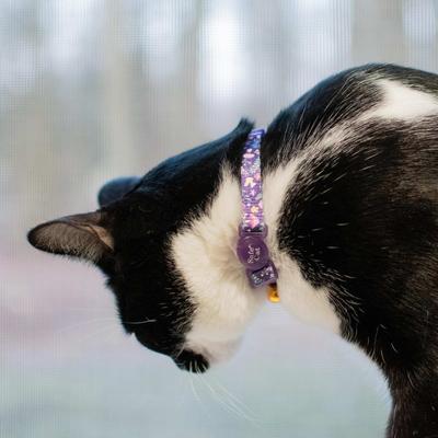 Show full view: Safe Cat Fashion Adjustable Breakaway Cat Collar, 8 to 12-in neck, 3/8-in wide, Magic Garden slide 3 of 7