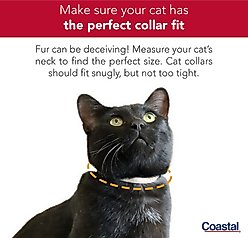 Safe Cat Snag-Proof Polyester Breakaway Cat Collar with Bell, Banana Boat, 8 to 12-in neck, 3/8-in wide slide 2 of 4