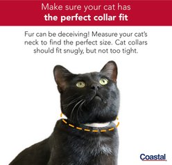 Safe Cat Snag-Proof Polyester Breakaway Cat Collar with Bell, Black, 8 to 12-in neck, 3/8-in wide slide 2 of 4