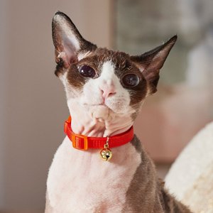 Safe Cat Snag-Proof Polyester Breakaway Cat Collar with Bell, Sunset Orange