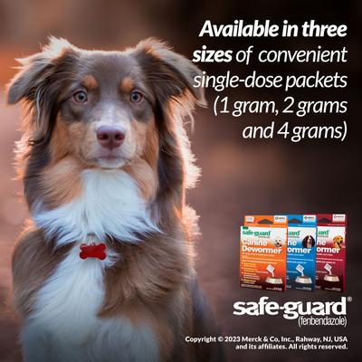 Show full view: Safe-Guard Dewormer for Hookworms, Roundworms, Tapeworms & Whipworms for Medium Breed Dogs, 3 day treatment slide 4 of 10
