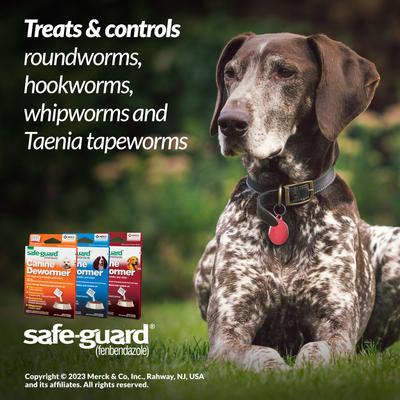 Show full view: Safe-Guard Dewormer for Hookworms, Roundworms, Tapeworms & Whipworms for Small Breed Dogs, 3 day treatment slide 6 of 9