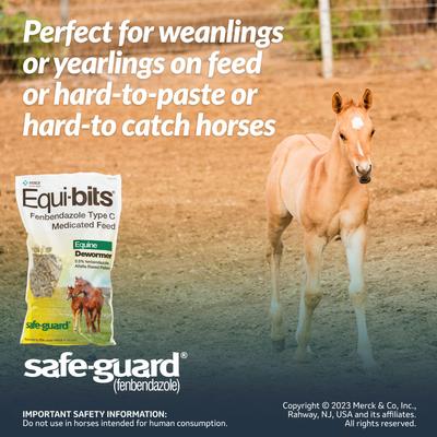 Show full view: Safe-Guard Equi-Bits Fenbendazole Horse Dewormer, 1.25-lb bag slide 3 of 7