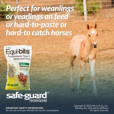 Show full view: Safe-Guard Equi-Bits Horse Dewormer, 1.25-lb bag, bundle of 2 slide 4 of 8