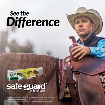 Show full view: Safe-Guard Fenbendazole 10% Paste Horse Dewormer, 25-gm syringe slide 9 of 12
