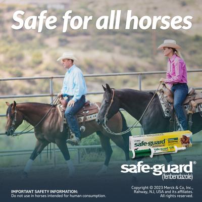 Show full view: Safe-Guard Fenbendazole 10% Paste Horse Dewormer, 25-gm syringe slide 8 of 12