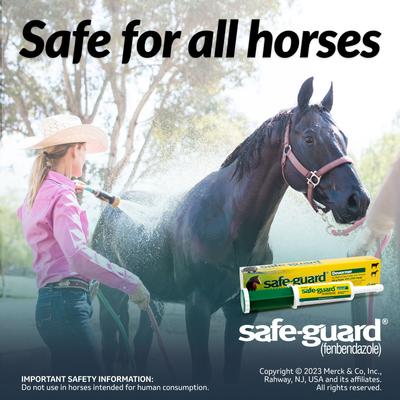 Show full view: Safe-Guard Fenbendazole 10% Paste Horse Dewormer, 92-gm tube slide 5 of 9
