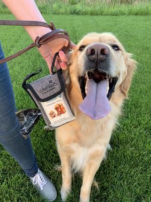 Show full view: SafePaws Sanitizing & Dog Grooming Travel Caddy slide 4 of 8