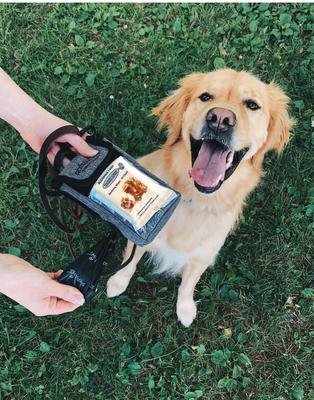 Show full view: SafePaws Sanitizing & Dog Grooming Travel Caddy slide 6 of 8