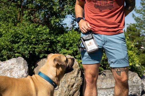 Show full view: SafePaws Sanitizing & Dog Grooming Travel Caddy slide 7 of 8