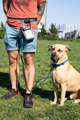 Show full view: SafePaws Sanitizing & Dog Grooming Travel Caddy slide 8 of 8