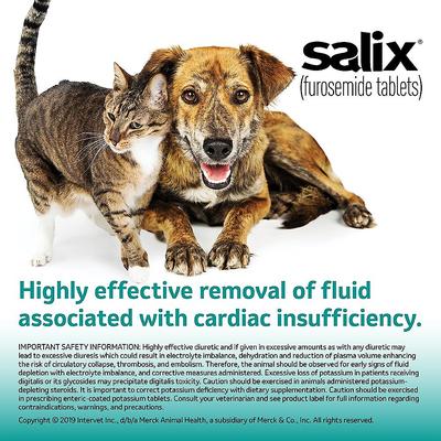 Show full view: Salix (Furosemide) Tablets for Dogs & Cats, 12.5-mg, 60 tablets slide 5 of 8