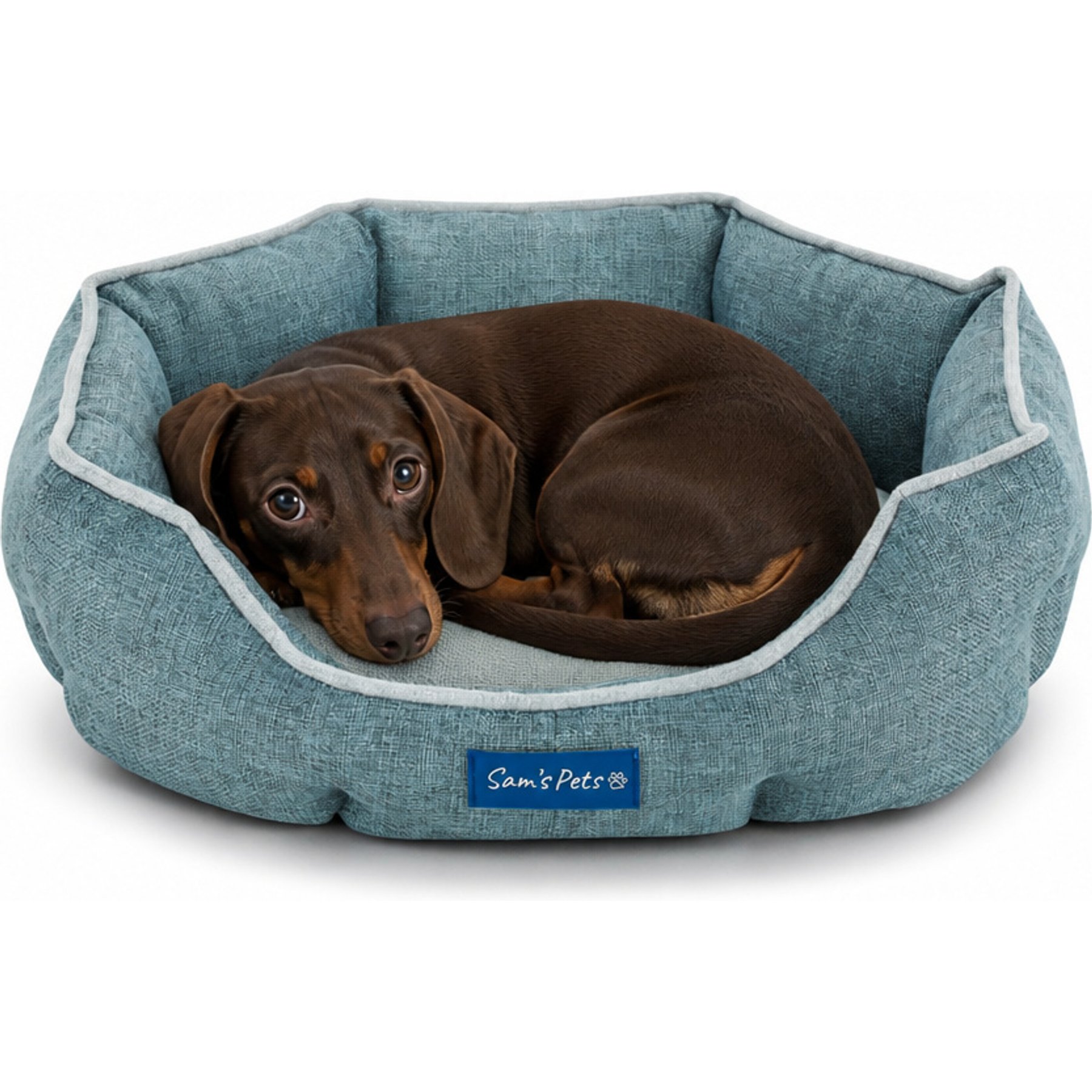 Sam's Pets Arthur Hexagon Dog Bed, Teal, Small