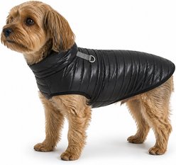 Sam's Pets Monty Dog Puffer Jacket, Black, Large