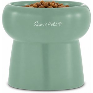 Sam's Pets Tall Tulip 2.0 Elevated Dog Bowl, Mint, 0.55-cup