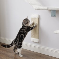 Sam's Pets Addison Wall Climber Cat Tree slide 2 of 9