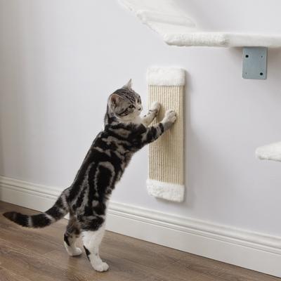 Show full view: Sam's Pets Addison Wall Climber Cat Tree slide 3 of 11