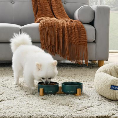 Show full view: Sam's Pets Coco Single Ceramic Dog Bowl with Wood Stand, Green, Double slide 4 of 8