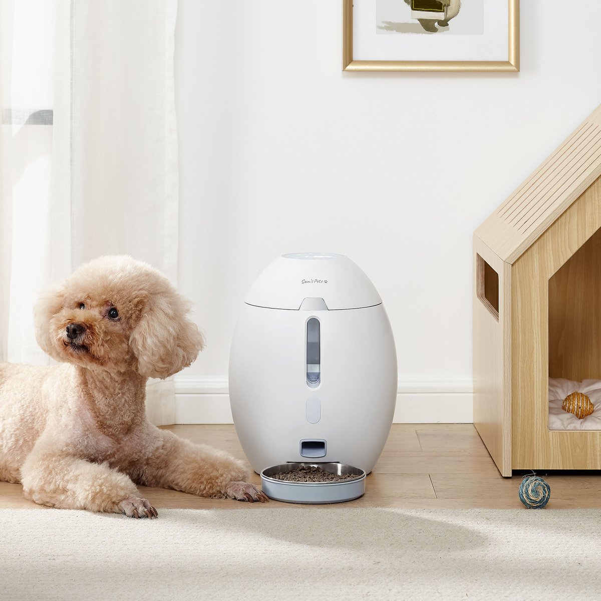 Sam's Pets Cosmo Automatic Dog & Cat Feeder, White, 13-cup