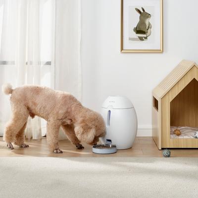 Show full view: Sam's Pets Cosmo Automatic Dog & Cat Feeder, White, 13-cup slide 9 of 10