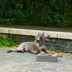 Sam's Pets Duke Non-skid Stone Dog Bowl, Grey, 30-oz slide 2 of 5