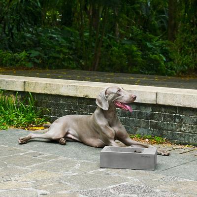Show full view: Sam's Pets Duke Non-skid Stone Dog Bowl, Grey, 30-oz slide 5 of 5