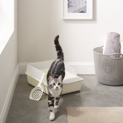 Sam's Pets Helix Cat Litter Box, White slide 2 of 9