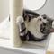 Show in main carousel: Sam's Pets Sheree Cat Tree, White, 50-in slide 3 of 11