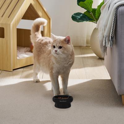 Show full view: Sam's Pets Short Tulip 2.0 Elevated Dog Bowl, Black, 0.75-cup slide 5 of 9