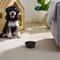 Show in main carousel: Sam's Pets Short Tulip 2.0 Elevated Dog Bowl, Black, 0.75-cup slide 4 of 9