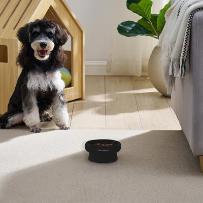 Show full view: Sam's Pets Short Tulip 2.0 Elevated Dog Bowl, Black, 0.75-cup slide 4 of 9