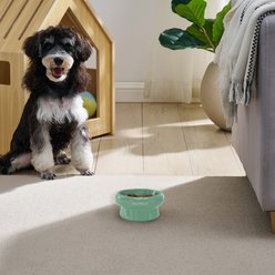 Sam's Pets Short Tulip 2.0 Elevated Dog Bowl, Mint, 0.75-cup slide 2 of 9