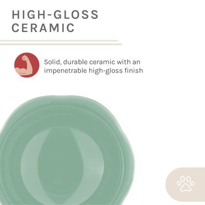 Show full view: Sam's Pets Short Tulip 2.0 Elevated Dog Bowl, Mint, 0.75-cup slide 8 of 9