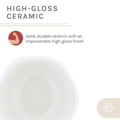 Show full view: Sam's Pets Short Tulip 2.0 Elevated Dog Bowl, White, 0.75-cup slide 8 of 9