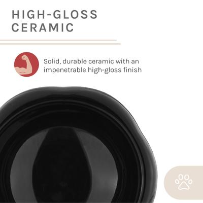 Show full view: Sam's Pets Tall Tulip 2.0 Elevated Dog Bowl, Black, 0.55-cup slide 8 of 9