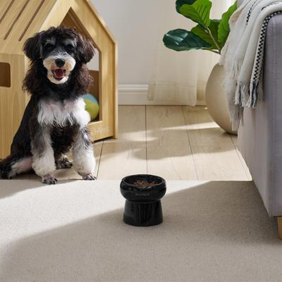 Show full view: Sam's Pets Tall Tulip 2.0 Elevated Dog Bowl, Black, 0.55-cup slide 4 of 9