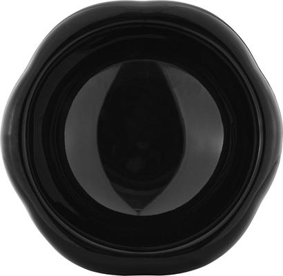 Show full view: Sam's Pets Tall Tulip 2.0 Elevated Dog Bowl, Black, 0.55-cup slide 3 of 9